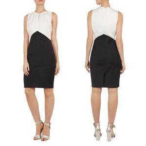 Ted Baker London Zamelid Sleeveless Color Block Dress - Size 2 (US)